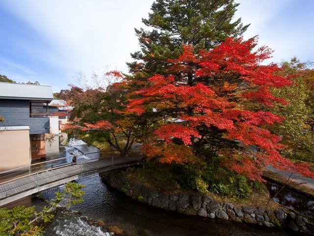 Hoshinoya Karuizawa 빌라 시설 사진